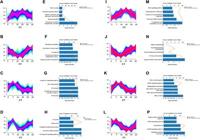 Chronic Cold Exposure Leads to Daytime Preference in the Circadian Expression of Hepatic Metabolic Genes